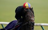 Derby favourite Too Darn Hot to miss opening race of Flat season