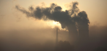 A Signal to Industry to Go Green in an Era of Carbon Reduction