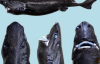 Tiny shark that glows discovered in the deep ocean