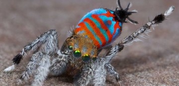10 strangest animal discoveries of 2015