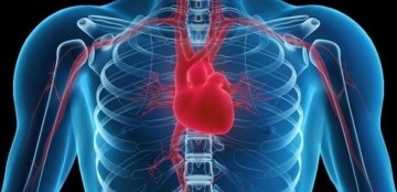 US patients get higher radiation doses in some heart tests
