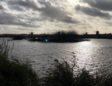 ‘Not Disneyland’: Dutch hit back at ‘over-tourism’