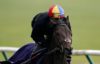 Derby favourite Too Darn Hot to miss opening race of Flat season