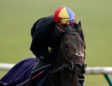 Derby favourite Too Darn Hot to miss opening race of Flat season
