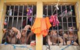 Brazil prison riots: What’s the cause?